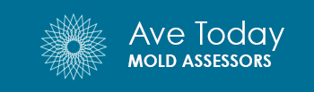 Ave Today Mold Assessors - Mold Testing, Aventura FL